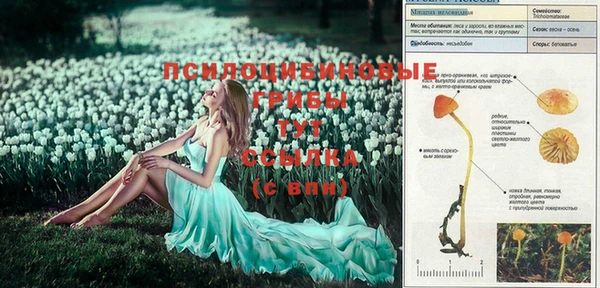 синтетический гашиш Инта