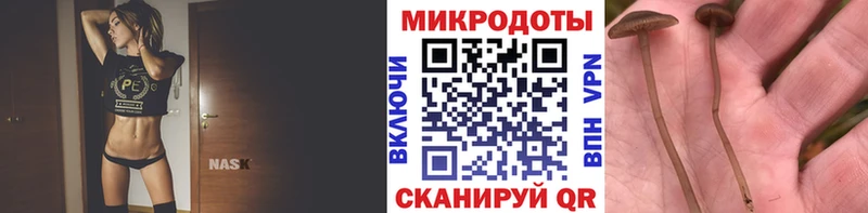 Галлюциногенные грибы ЛСД  где можно купить наркотик  Нолинск 